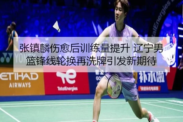 张镇麟伤愈后训练量提升 辽宁男篮锋线轮换再洗牌引发新期待